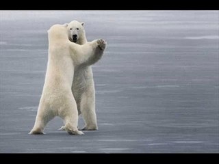 Zemmour à la Radio Vraiment Libre