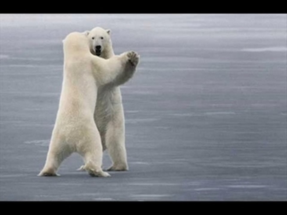 Zemmour à la Radio Vraiment Libre