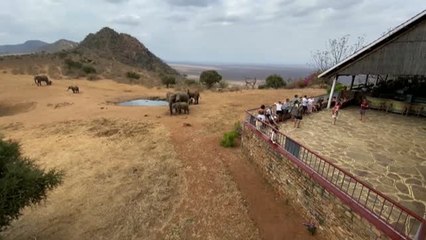 Kenia busca sobreponerse al batacazo del sector turístico causado por la pandemia