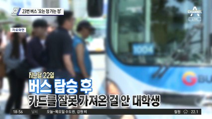 23번 버스 ‘오는 정 가는 정’