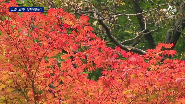 ‘불안한’ 가을 단풍의 유혹…설악산 관광객 ‘북적’