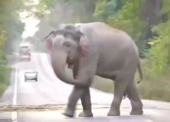 เรื่องพลบค่ำ ช่วงที่ 3 วันจันทร์ที่ 4 ต.ค.64