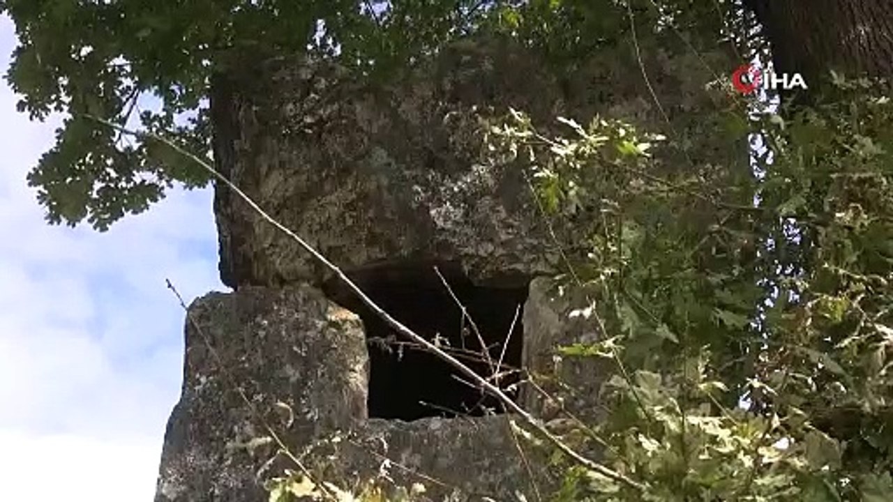 2 bin yıllık bedduayı görenler gözlerine inanamıyor