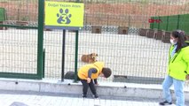 İSTANBUL-Sokak hayvanları için yapılan tam donanımlı hastane ve geçici bakımevi açıldı