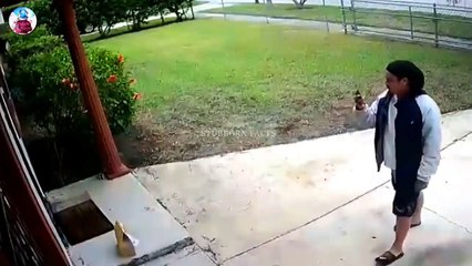 _____POGO__________.mp4