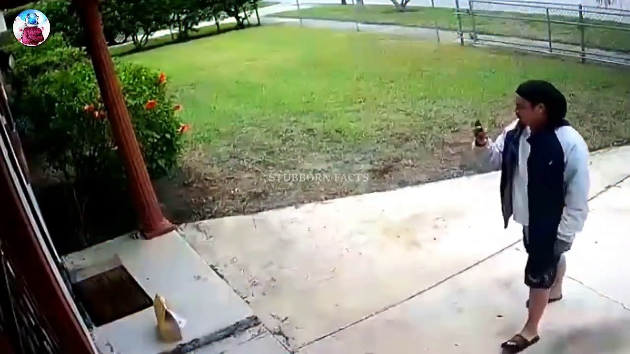 _____POGO__________.mp4