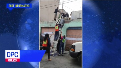 Rescatan a 14 perros en situación de maltrato en la CDMX