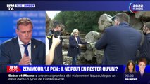 Pour Louis Aliot, maire RN de Perpignan, Marine Le Pen a 