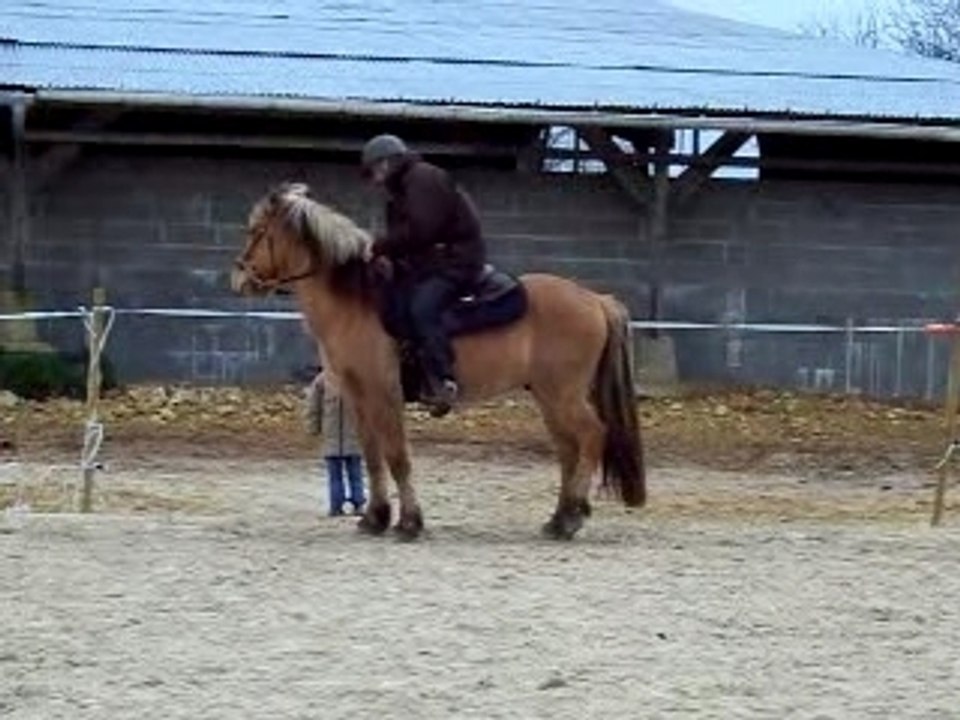 Ultima trot pilou