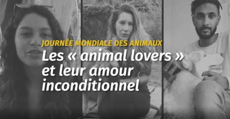 Journée mondiale des animaux : les « animal lovers » et leur amour inconditionnel