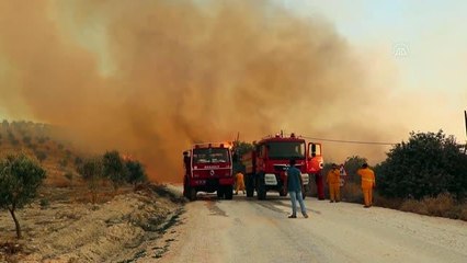 Orman yangınına müdahale ediliyor
