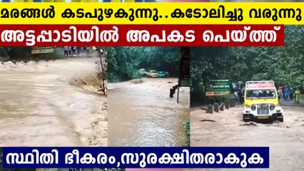 ജനങ്ങളെ കരുതിയിരിക്കുക..ഈ ദൃശ്യങ്ങൾ പറയും അവസ്ഥ..മഴ ദുരന്തമാകുന്നു