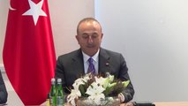 Dışişleri Bakanı Çavuşoğlu, Polonyalı mevkidaşı Rau ile bir araya geldi
