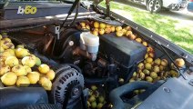 Walnut Wagon! Man Returns Home To Find Squirrel Has Stored 180  Lbs of Nuts in His Truck!