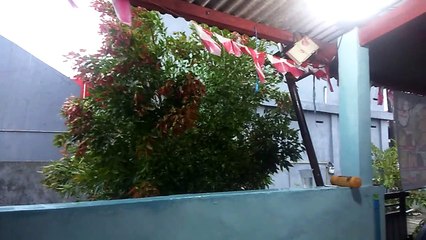hujan angin dan petir di sore hari enaknya tidur | awal bulan hujan