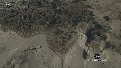 Viral Tumpahan minyak di California  telah bocor ke Samudra Pasifik.