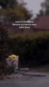 Learn to walk alone‍♂️one day you will have to meet your creator alone,so where are you going‼️ #Shorts❤️ #Share