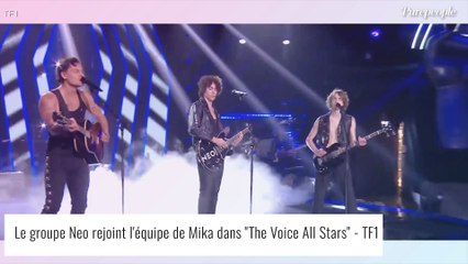"Mika ne nous a pas défendus" : Néo (The Voice) fait des révélations sur le coach