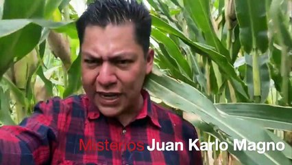 Misterios: “El burro de oro” de La Barca, Jalisco