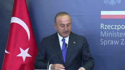 Çavuşoğlu-Rau ortak basın toplantısı - Rau