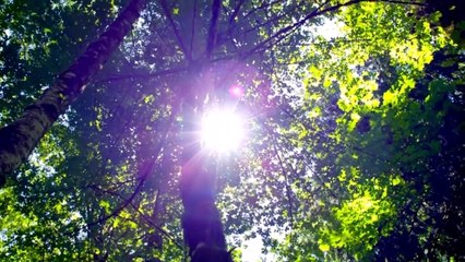 Música Para la Era de Acuario - TONI COTOLI, Meditacion, Musicoterapia