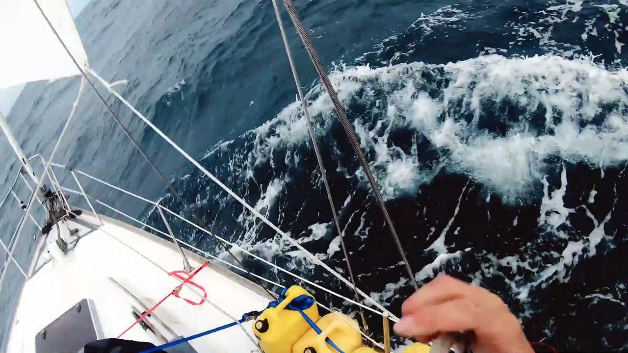 Hell or High Seas - Official Trailer