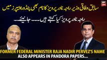 Raja Nadir Pervez's name  also appears in Pandora Papers...