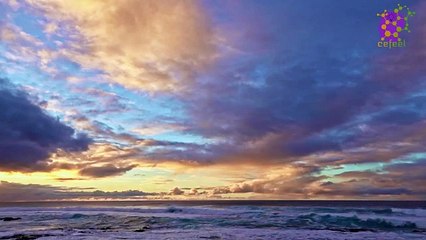 intro-logo-15-min-20210926-004119