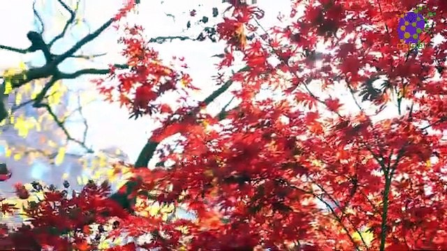 intro-logo-15-min-20210926-004307