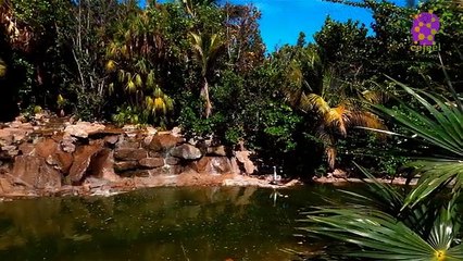 intro-logo-15-min-20210926-005739