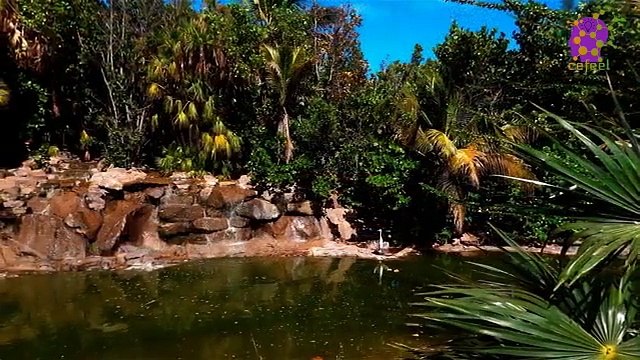 intro-logo-15-min-20210926-005739