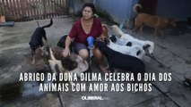 Abrigo da Dona Dilma celebra o Dia dos Animais com amor aos bichos