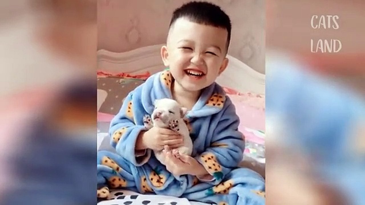 Funny cat 2