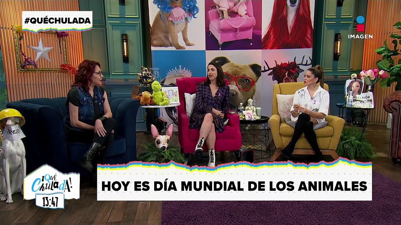 ¡Es el Día mundial de los Animales!