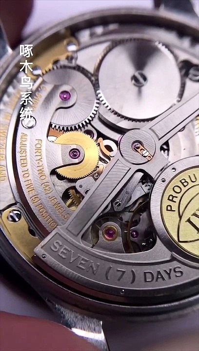 Tiktok Asian #2   What's inside IWC Schaffhausen   Incredible!