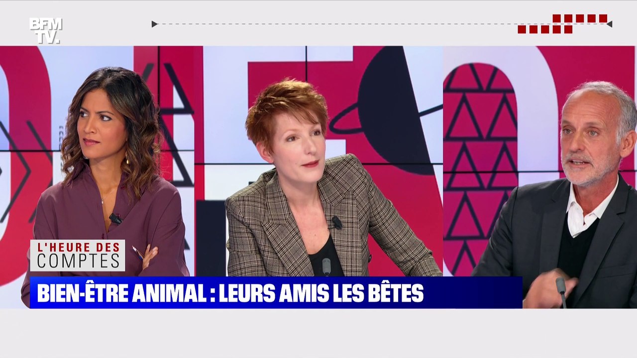 Loïc Dombreval: "Sur la question de la chasse, il reste toute une série de questions sur lesquelles il faut qu’on puisse avancer" - 04/10