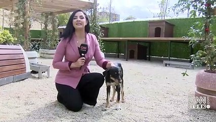 Başakşehir'de sevimli dostlara hastane