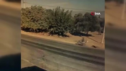 Hayvanları Koruma Günü'nde köpeğe işkence kamerada