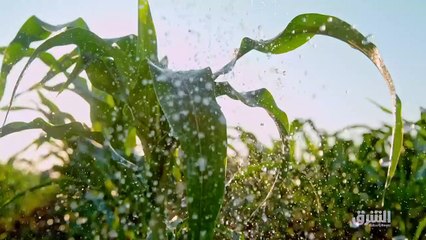 ...المواد الكيماوية . وأفضل المواد هي الخلط...