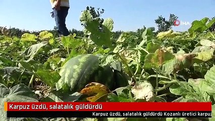 Karpuz üzdü, salatalık güldürdü