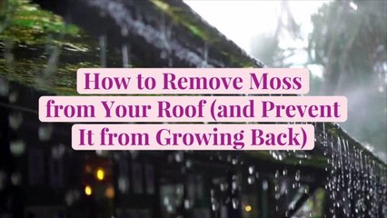 How to Remove Moss from Your Roof (and Prevent It from Growing Back)
