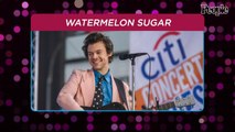 Harry Styles Confirms His Hit Song 'Watermelon Sugar' Is, in Part, 'About the Female Orgasm'