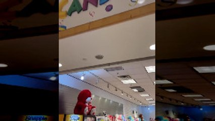 Rat Infestation Takes Over Candy Land Store in Massapequa