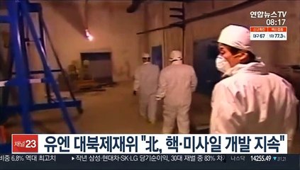 유엔 대북제재위 "北, 경제난에도 핵·미사일 개발 지속"