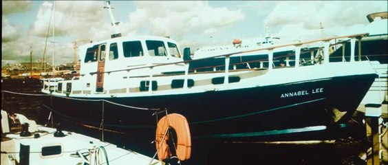 L'Irlandais (2011) - Bande annonce