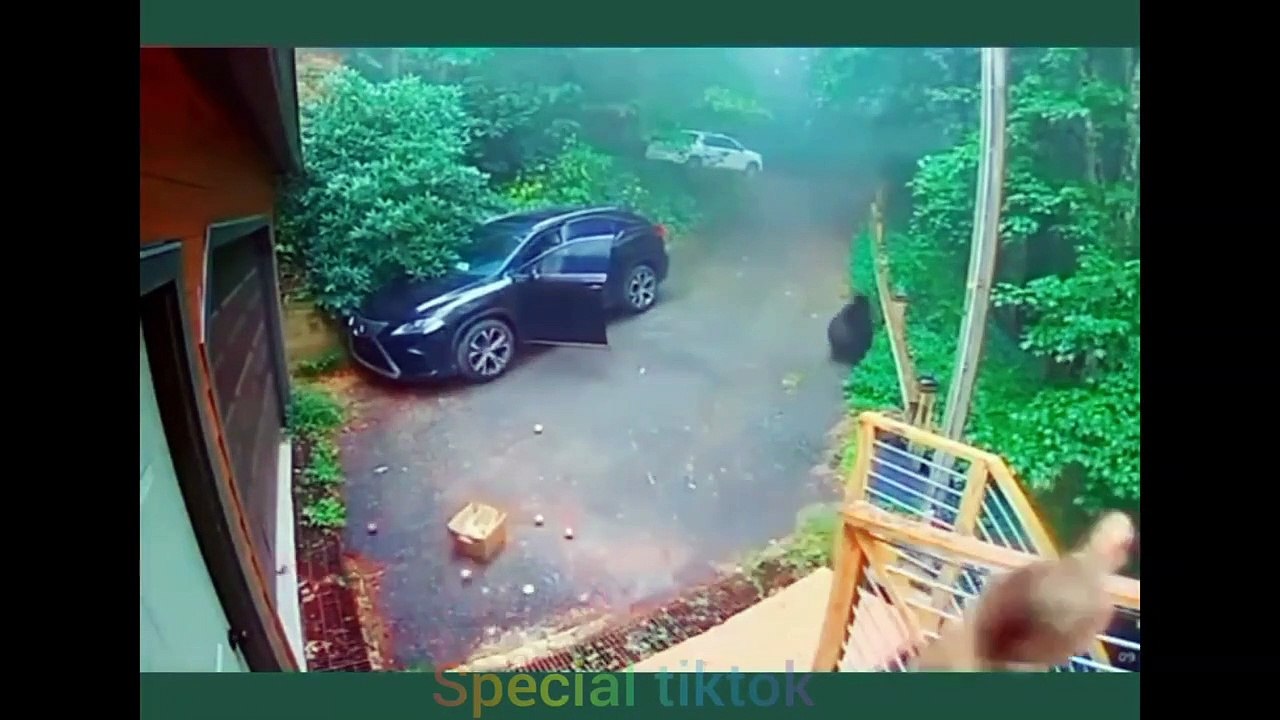 Funny video #2
