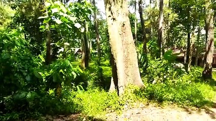 Segar nan asri, pemandian tasnan