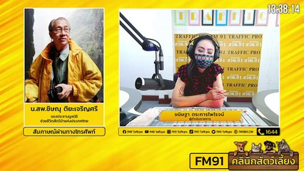 อาหารที่ใช้ควบคุมโรคต่างๆในสุนัขและแมว EP.2 : FM91 คลินิกสัตว์เลี้ยง : 5 กันยายน 2564