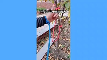 Rope Compilation #Part2