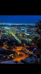 World record||world record giness book||dog running on field